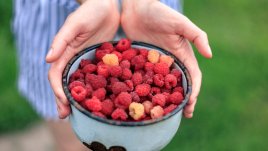 13 ползи за здравето от малините