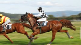 Деца с церебрална парализа ще се обучават безплатно на конна езда