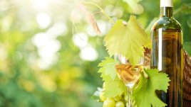 Най-добрите български шардонета!