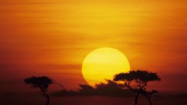 Пътешествие от опиумните полета на Китай до далечна Африка