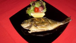 Лесна ципура на фурна