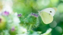 Мисъл на деня за... обичта, която хората не дават