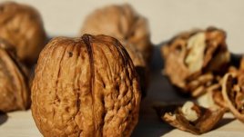 Науката разкрива за какво помагат орехите 