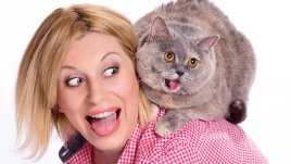 Как да се подготвим преди да вземем коте у дома в 10 стъпки