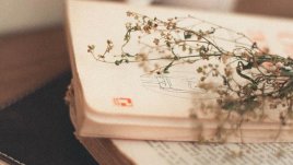 Мисъл на деня за това, което носим в себе си