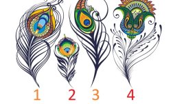 Изберете си пауново перо и вижте какво трябва да направите 