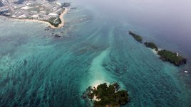 Красотата на кораловите рифове