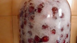 Как да си направим вишновка?