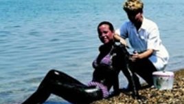 Калолечение с кал от Мъртво море