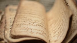 Цитат на деня