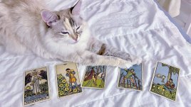 Таро карта за 9 август, събота