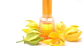 4 етерични масла, потискащи стреса и тревожността 