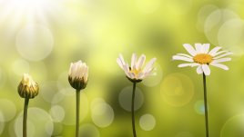 7 неща, които ще променят живота ви за една година