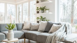 13 идеи как да декорирате растенията