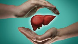 6 навика, които намаляват риска от проблеми с черния дроб