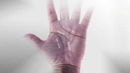 Какво показва линията на сърцето за вас и любовта?