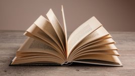 Как четенето променя начина, по който виждате света
