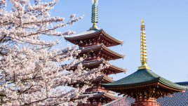 Японска мъдрост на деня