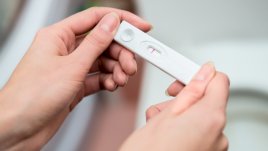 Защо сексът извън овулацията ви прави още по-плодовити?