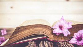 Мисъл на деня от  Махатма Ганди