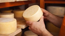 10 от най-богатите на холестерол храни (галерия)