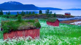 Знаете ли, че... Норвегия има над 20 000 км брегова линия? 