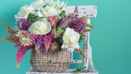 Честит имен ден на Мартин и Мартина!