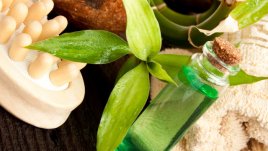 Етеричното масло от чаено дърво и удивителните му ефекти