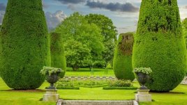 Градинските стълби – прелестна декорация за градината