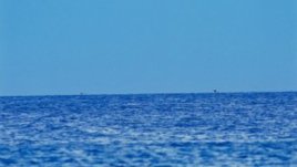 Лунна диета – юли 2013