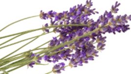 Успокояваща вана с лавандула за чувствителна кожа