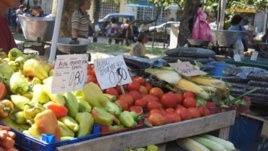 На Женския пазар са хит доматите „Аз ги произведох“