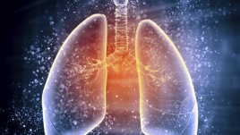 Любопитни факти за белия дроб
