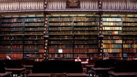 Мисъл на деня