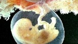 С 9 месеца на училище през ноември в София