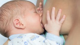 Кърмата – ключът срещу резистентните на антибиотици бактерии?