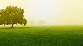 Галски хороскоп