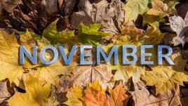 4 зодии, за които ноември ще е фантастичен