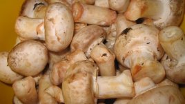 Сос бешамел с гъби