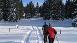 Зимни активности на открито за добра фигура