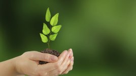 Мисъл на деня