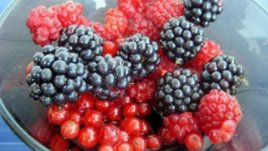 Пасираната плодова салата е най-полезна