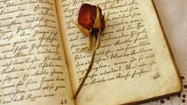 Мъдри мисли от Хорхе Букай