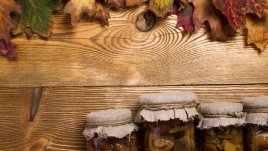 Манатарки в зехтин 