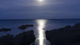 Лунна диета – юни 2013