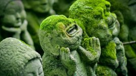 Мисъл на деня за... това, което не бива да правим