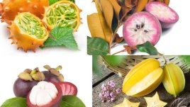 10-те най-полезни екзотични плода (галерия) 