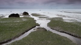 Какво означава, ако сънуваш кален път?