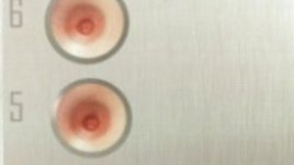 Мартин Карбовски оперира българската литература