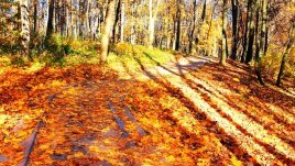 Светлинна терапия срещу депресията